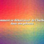 Question : Comment se débarrasser de l’herbe de Johnson dans ma pelouse